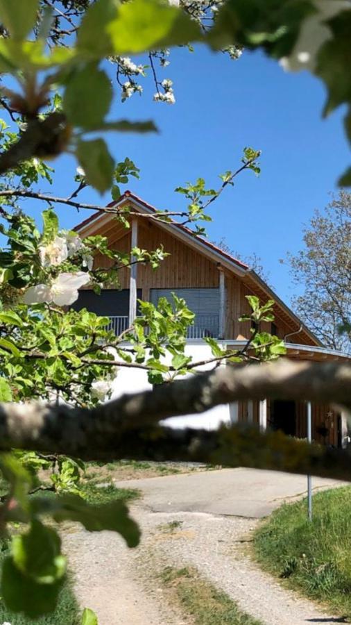 Ferienwohnung "Hinterland" Hergensweiler エクステリア 写真